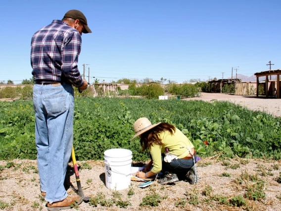 Collecting plant samples in a local garden.