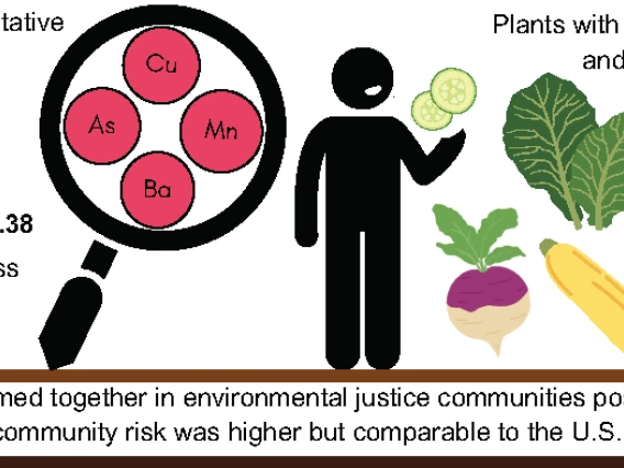 graphical abstract