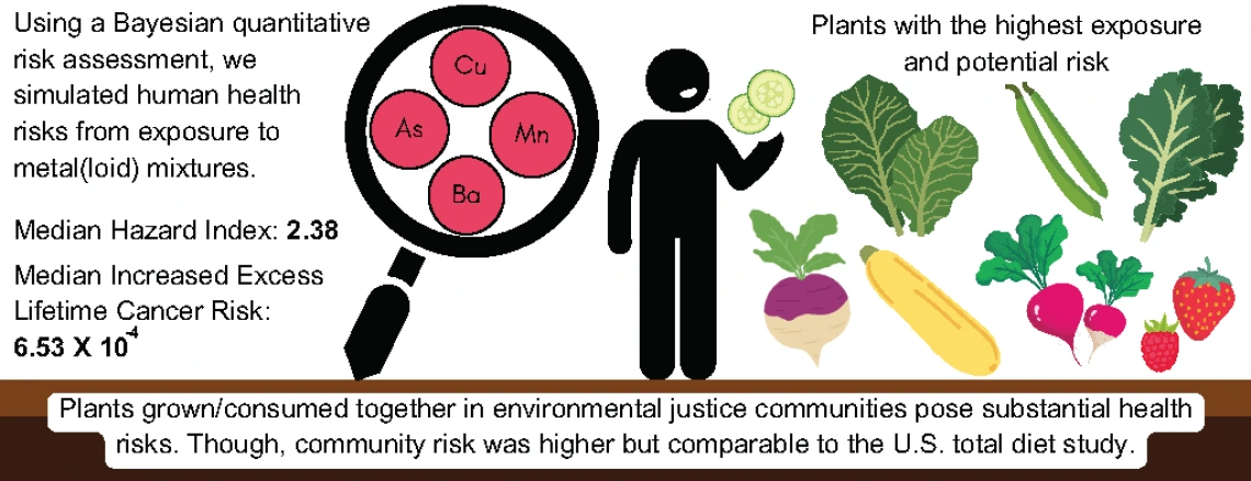 graphical abstract