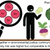 graphical abstract